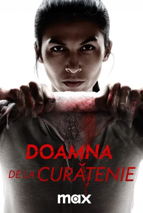 Poster Doamna de la curățenie (2022)