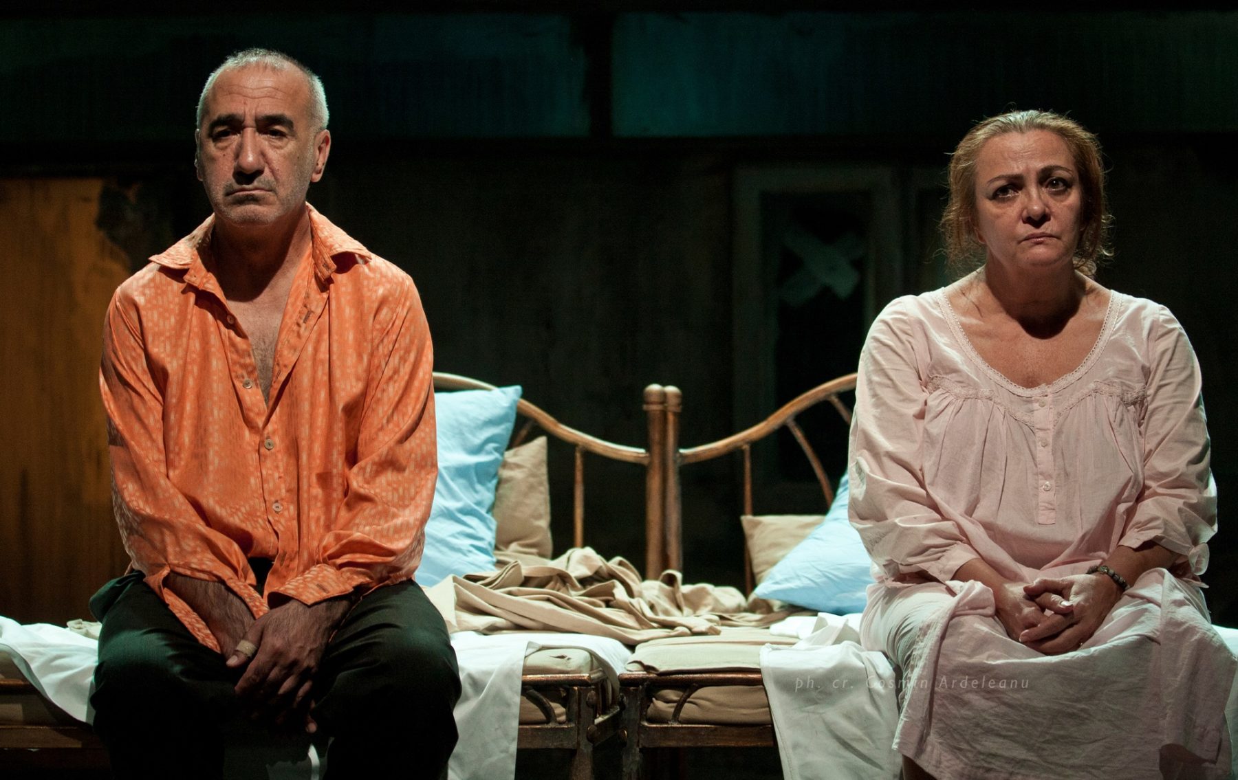 MEȘTEȘUGUL VIEȚII